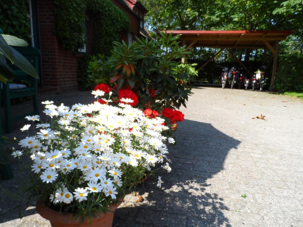 Apartment Haus Am Deich *