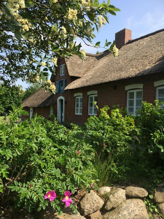Apartment Haus Am Deich *